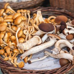 Impressionen der Immo & Gartenwelten 2019 im Jagdschloss Kranichstein, Darmstadt - Foto: David Neubarth